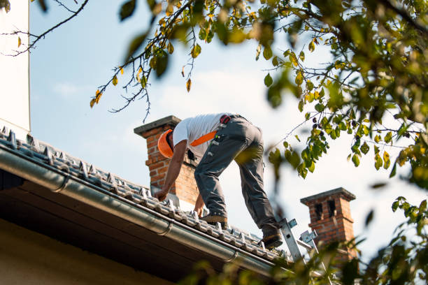 Best Roof Leak Repair  in Gastonville, PA