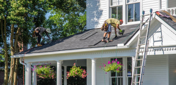 Best Roof Gutter Cleaning  in Gastonville, PA