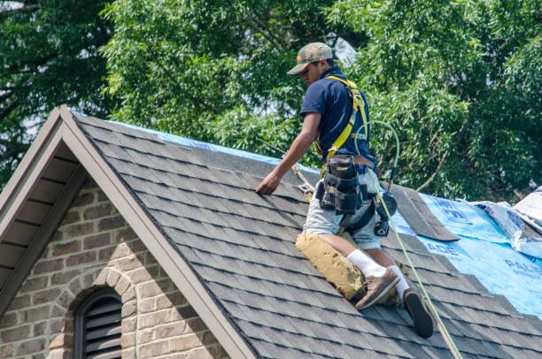 Best Shingle Roofing Installation  in Gastonville, PA